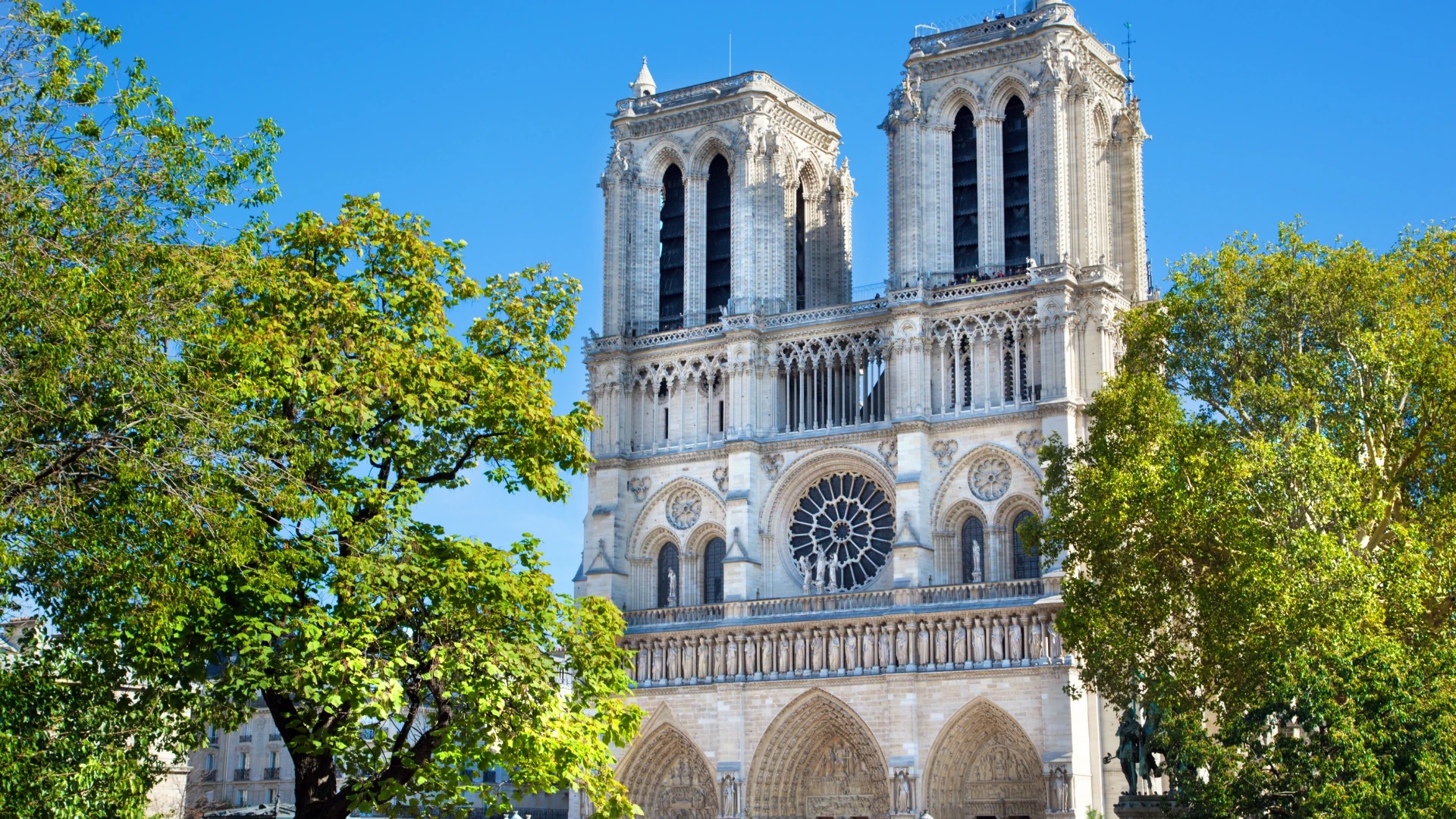 Paris (5)