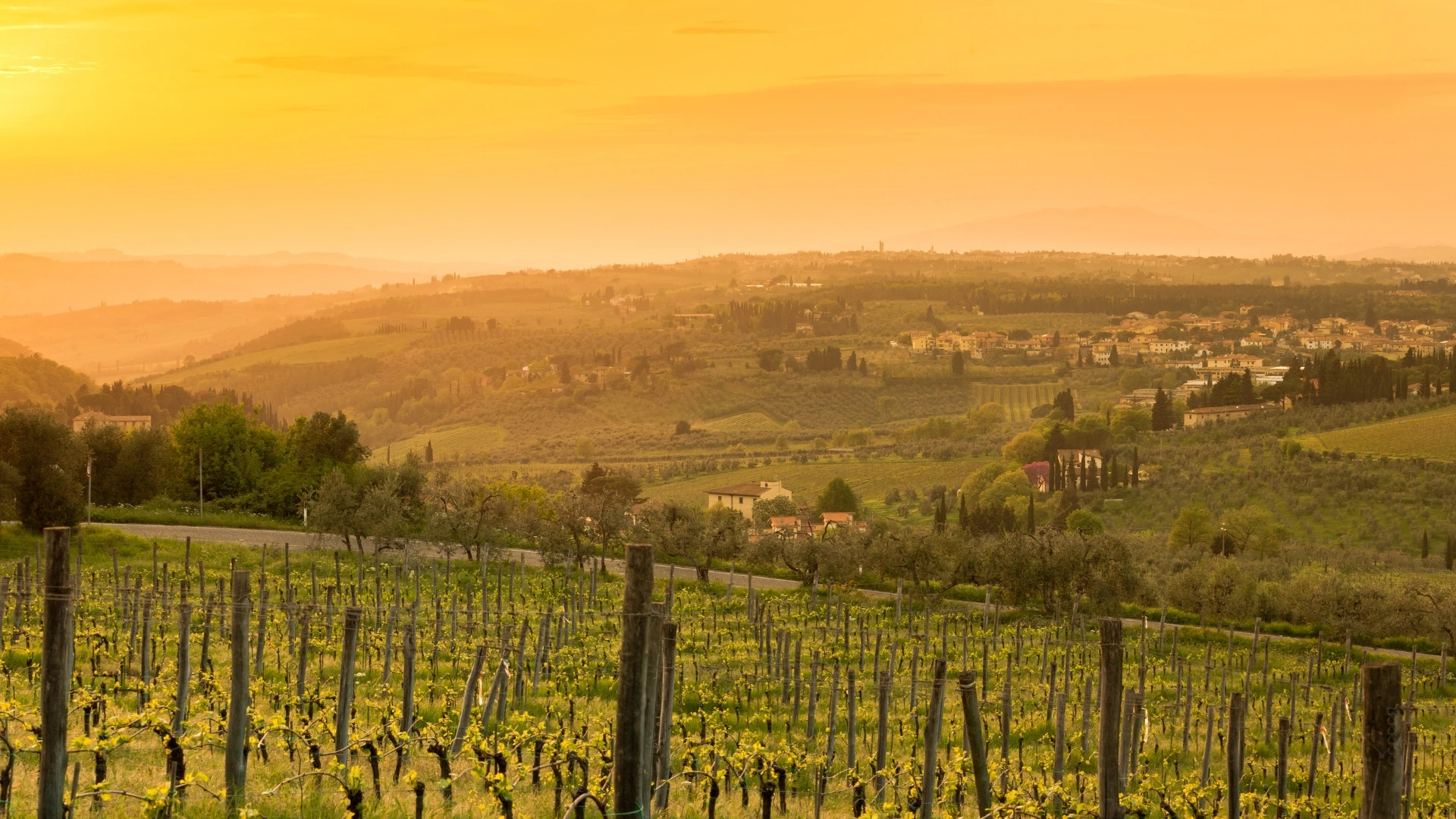 Toscane (6)